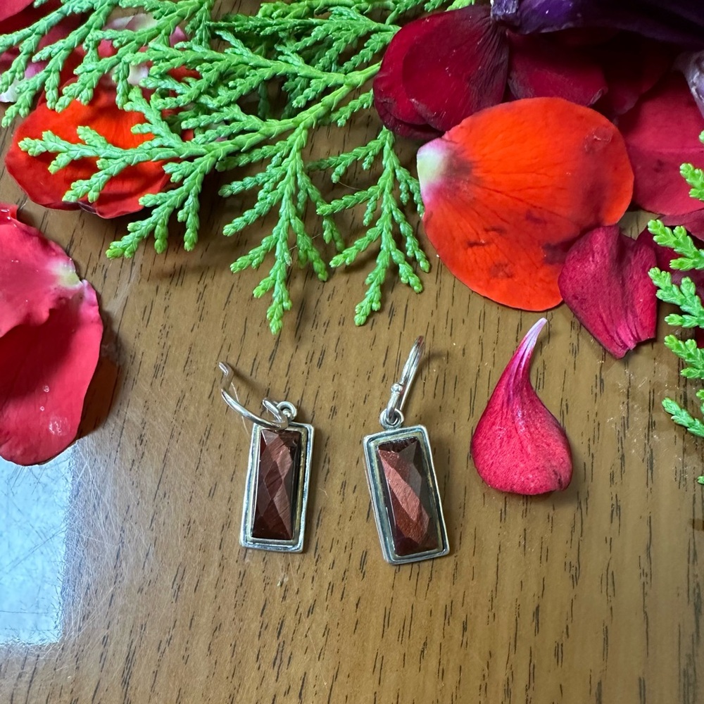 Silpada defining moment tigers eye earrings sterling silver & brass